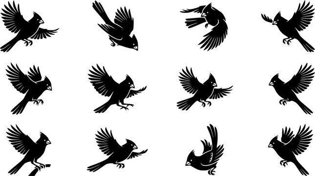 Northern Cardinal Bird silhouette icon set, flat black glyph style, pure white background