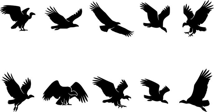 Vulture silhouette icon set, flat black glyph style, pure white background