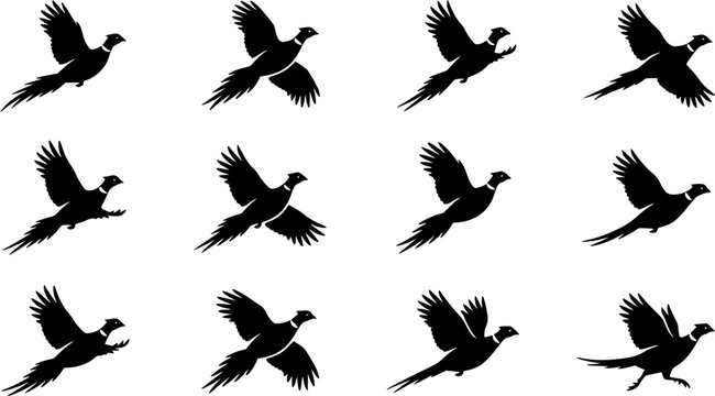 Flying pheasant silhouette icon set, flat black glyph style, pure white background