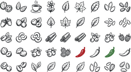 Autumn elements and nuts line art icons set featuring hand drawn leaves almonds walnuts cinnamon berries and chili peppers vector illustration isolated on white background, © Tofijun