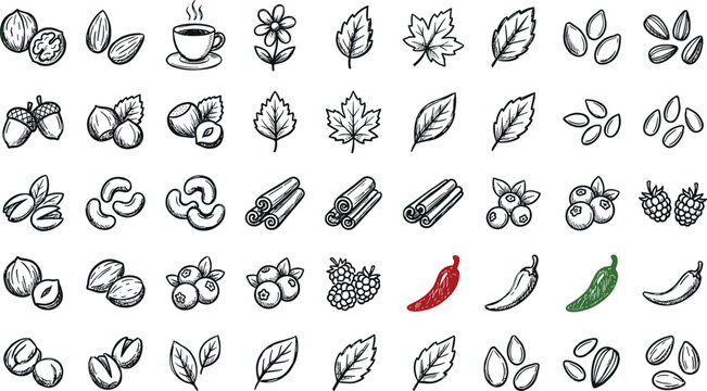 Autumn elements and nuts line art icons set featuring hand drawn leaves almonds walnuts cinnamon berries and chili peppers vector illustration isolated on white background,