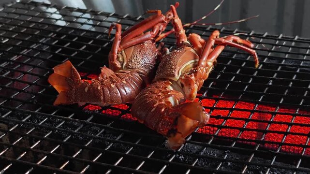 A fishing village in Vietnam. A local villager grills a lobster. Home grilled cooked. Lobster cooking over hot coals on a rustic barbecue grill grate. 