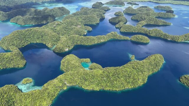 Palau's scenic Rock Islands are fringed by extraordinary coral reefs. This beautiful island-nation is a popular destination for scuba divers, snorkelers, kayakers, and World War II historians. 