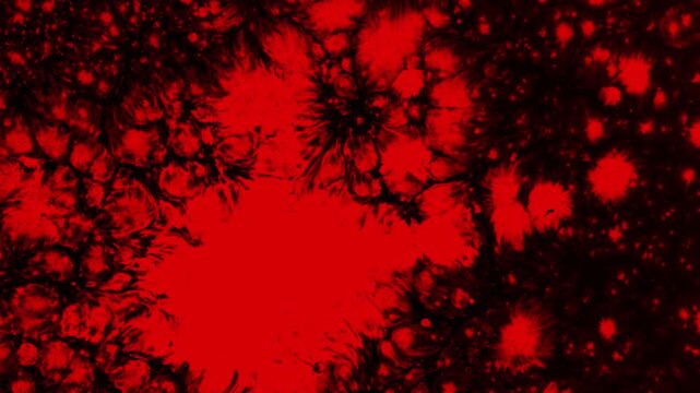 Neon Bloody Jet on Black. A drop of red ink drops on black paper and spread over it, creating a very nice spot with a stains. Filmed at a speed of 240fps