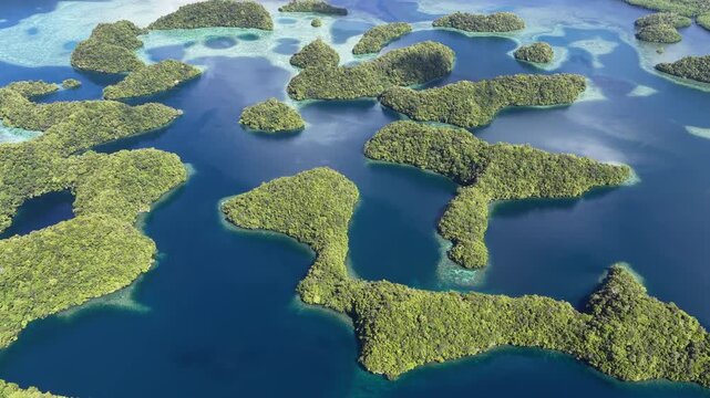 Palau's scenic Rock Islands are fringed by extraordinary coral reefs. This beautiful island-nation is a popular destination for scuba divers, snorkelers, kayakers, and World War II historians. 