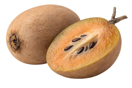 Whole Raw Sapodilla Fruit Front View Isolated on White Background &ndash; High-Resolution Hyper-Realistic Chikoo Sapota Tropical Fruit for Culinary, Healthy Diet, and Cooking Graphic Design