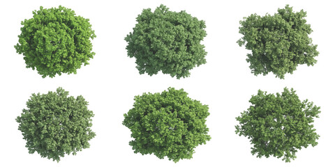 Obraz premium Set of six green trees seen from above for landscape design and architectural project site plans and maps
