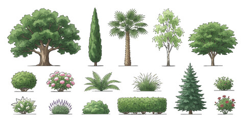 Set of various green trees and bushes including palm pine cypress oak and garden shrub plants for landscaping © ZenVectors