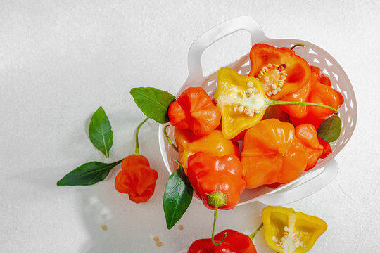 Culinary background of assorted fresh chili peppers in a white decorative basket. Raw ingredients