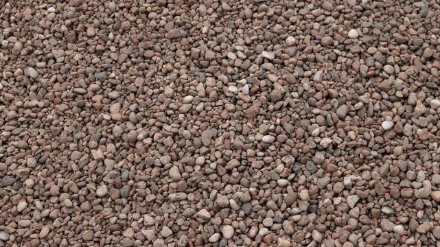 Close view of a pebble covered ground filled with small rounded stones in mixed brown, gray, beige, and tan tones under soft even daylight, creating a natural rocky surface