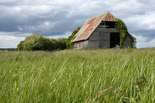 Old wooden barn with rusty corrugated roof in grass meadow, Berkshire, UK