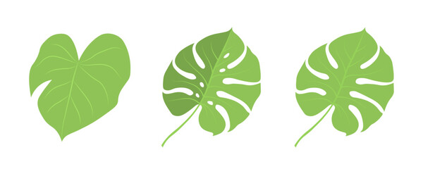 Set of tropical leaves of different shapes on a white background. Summer palm and tropical leaves. Vector EPS 10. © Helga1