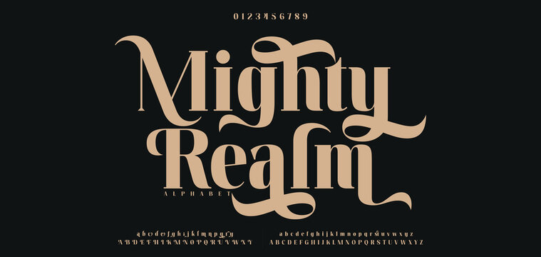 Elegant Font, aesthetic, Uppercase Lowercase and Number. wedding font, Classic Lettering Minimal Fashion Designs. Typography modern serif fonts regular decorative vintage concept. vector illustration