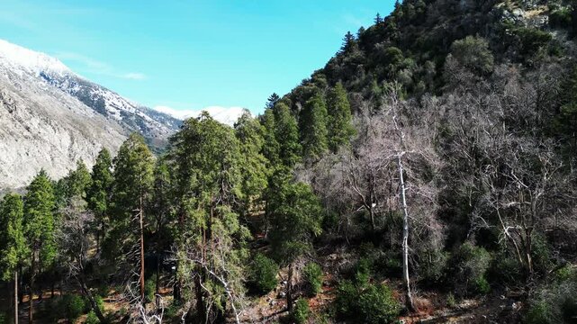 The Mill Creel Valley along the San Andras Fault looking ay a Yuhaaviatam Native American Indigenous Sacred waterfall on a Granite face near the Valley of the Falls on the Yucaipa Ridge,