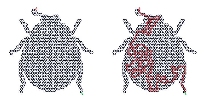 Labyrinth with ladybug design and red maze pattern illustration  