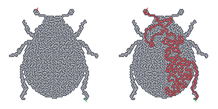 Abstract illustration of ladybug maze pattern in gray and red  