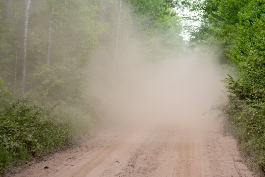 A dusty cloud on the forest trail