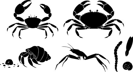 Ocean Crustacean Silhouette Set – Crab, Hermit Crab, Shrimp, Snail, Sea Creature Vector Black Icons © MinhajulIslam
