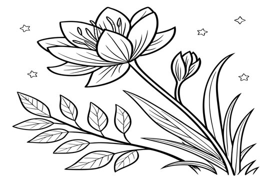 coloring page line art the bitterroot flower black vector