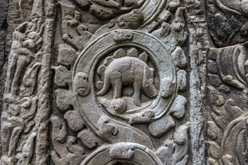 Detailed stone relief carving resembling a stegosaurus dinosaur on Ta Prohm temple wall Cambodia © Chris Jones