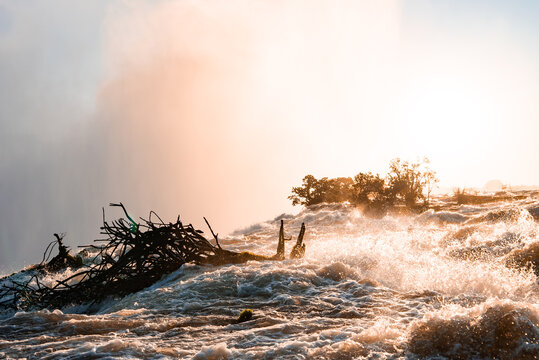 Churning water surges toward the drop at Victoria Falls, Zambia and Zimbabwe. Golden light backlights mist, silhouetting scrubby vegetation and tangled driftwood.