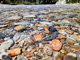 Fototapeta premium Clear shallow river flowing over colorful rocks and stones