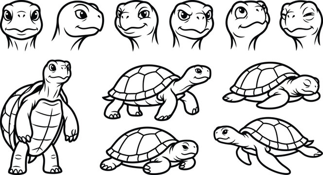 Tortoise Black White Vector Line Art Collection for Mascot Design