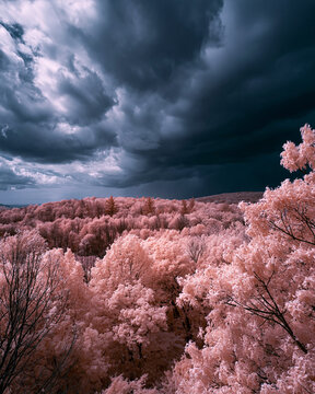 Idyllic Infrared Forest Landscape: Dramatic Clouds and Pink Sky in Nature's Beautiful Palette