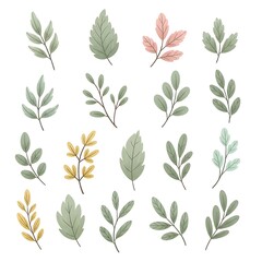 Obraz premium Vintage botanical illustration of various green leaves and plants.