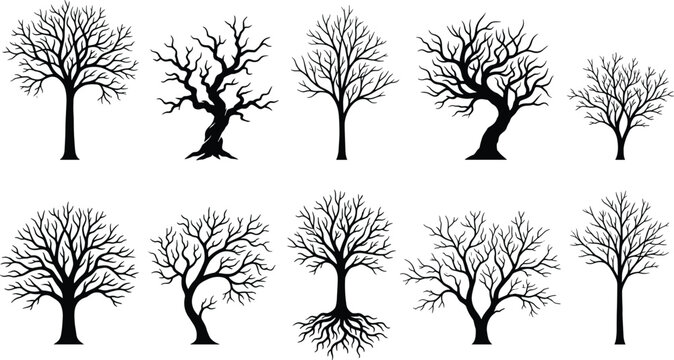 Black Silhouette Bare Leafless Tree Different Shapes Set Winter Forest Vector Illustration Collection