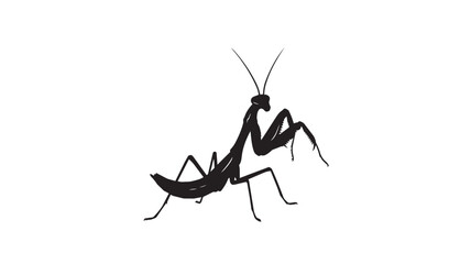 Black silhouette of a praying mantis insect © rockbd
