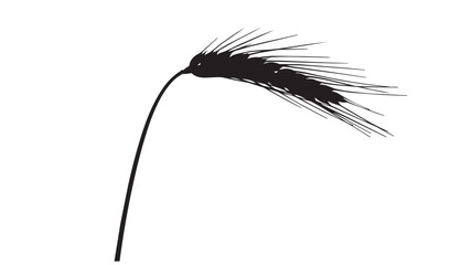 Black silhouette of a single wheat ear stalk © rockbd