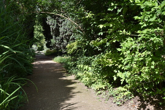  All&eacute;e ombrag&eacute;e au jardin