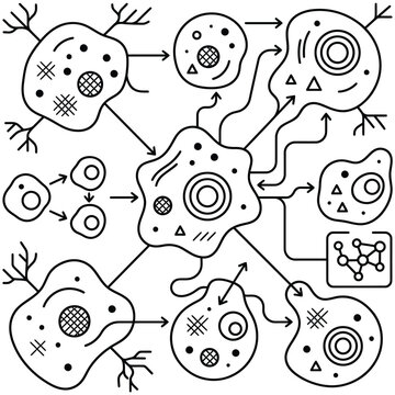 Biological cell division and signaling interaction diagram with science educatio