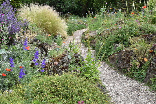All&eacute;e du jardin de rocaille