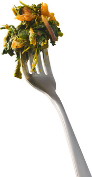 cooked dwarf copperleaf on silver fork isolated white background, chopped sauteed green vegetable bite, closeup side view