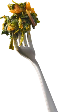 cooked dwarf copperleaf on silver fork isolated white background, chopped sauteed green vegetable bite, closeup side view