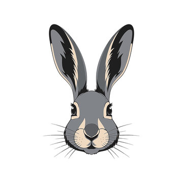 Detailed vector illustration of a jackrabbit head with long upright ears and prominent whiskers. Symmetrical front-facing portrait of a grey and beige hare on a white background.