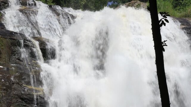 The natural video background of water flowing from high mountains, amidst various forests. The beauty of natural waterfalls is a habitat for various animals. It is worth preserving.