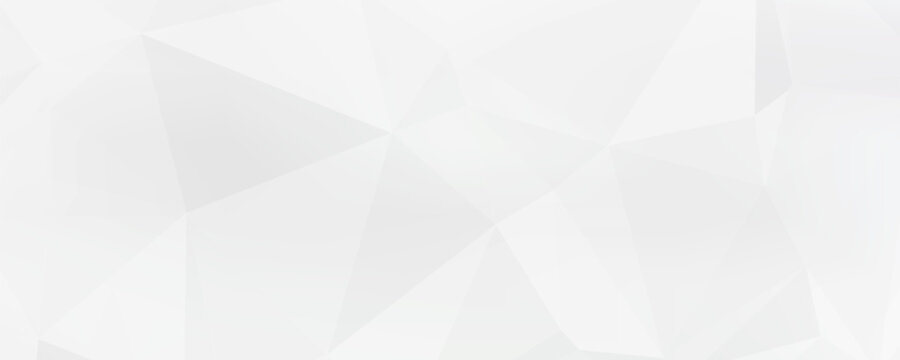 White polygon textured background vector