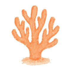 Obraz premium PNG Hand-drawn coral illustration.