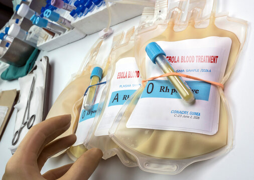 Blood plasma containing antibodies prepared for a patient infected with the Ebola virus, studio recreation,  conceptual image