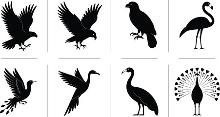 Obraz premium Bird Silhouette Illustration Featuring Eagle, Flamingo, Hummingbird, Peacock, Parrot, and Other Distinctive Species