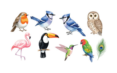 Naklejka premium Collection of diverse bird species illustrated in a vibrant, artistic style
