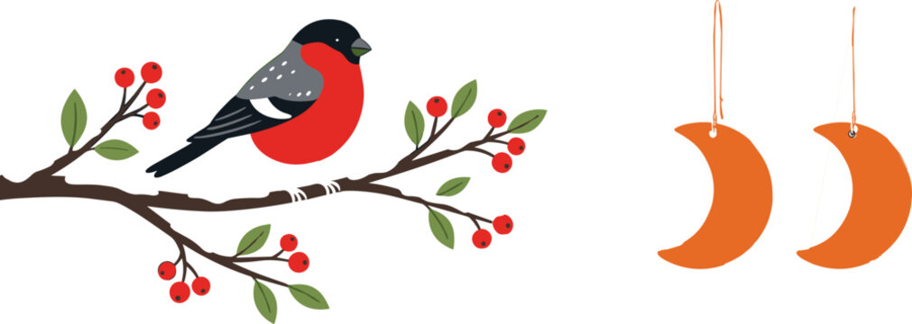 "Colorful bullfinch bird on branch with red berries and crescent earrings vector illustration for nature and fashion design"