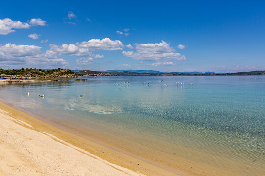 There are many birds that are on the beach by the water, Ammoulliani, Greece