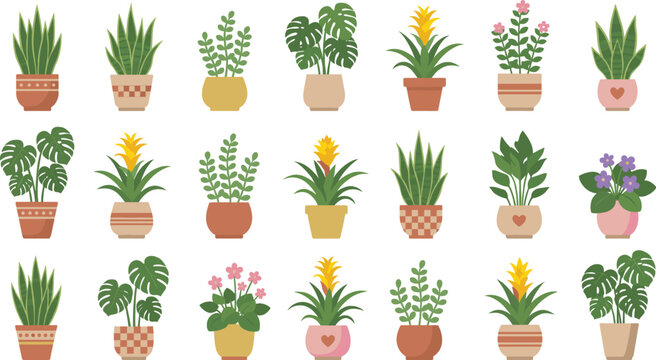 Collection of cute indoor potted plants and monstera delicious house plants set isolated on a white background