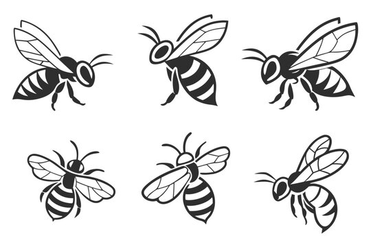 Six cartoon bees flying in formation