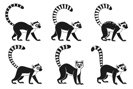 Six leopard cats walking in different poses