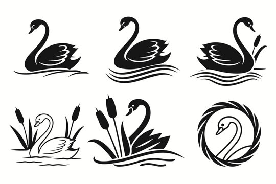 Swans and ducks with numbers illustration